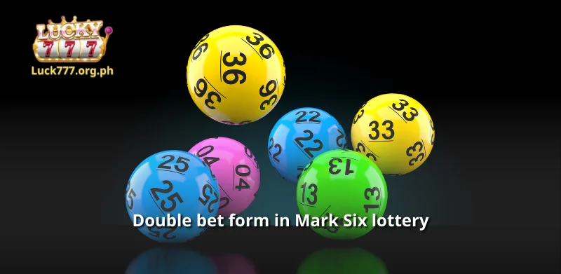 Double bet form in Mark Six lottery